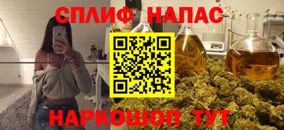 прущие грибы Рязань
